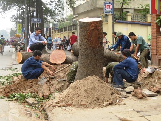 10[-]sự[-]kiện[-]môi[-]trường[-]nổi[-]bật[-]trong[-]nước[-]năm[-]2015